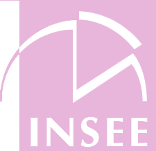 INSEE Logo